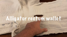 Load image into Gallery viewer, Long Biker Exotic Leather Wallet with Chain - American Alligator, w/ Rectum Python Inlay (the devils anus wallet)