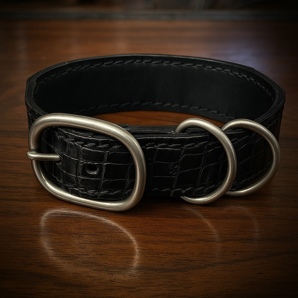 Dog Collar with Genuine Black Alligator leather
